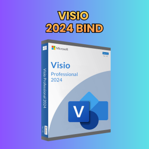 Visio Professional Plus 2024 (Vinculable al correo)