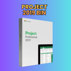 Project Professional Plus 2019 (Vinculado al correo)